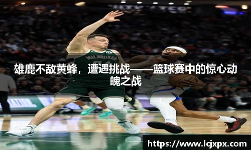 南宫28NG相信品牌力量